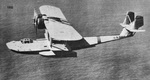 Consolidateed P2Y-1 from the left 