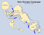 New Georgia Campaign